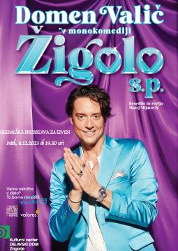 ZˇIGOLO PLAKAT DD